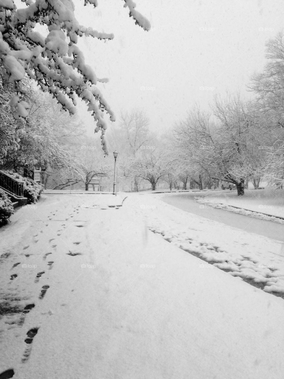 Campus Snowstorm