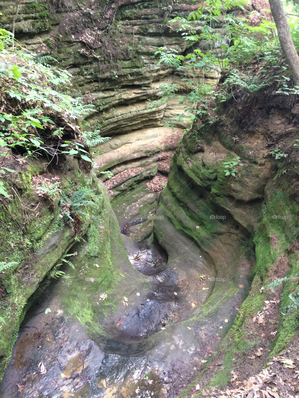 Starved rock canyons