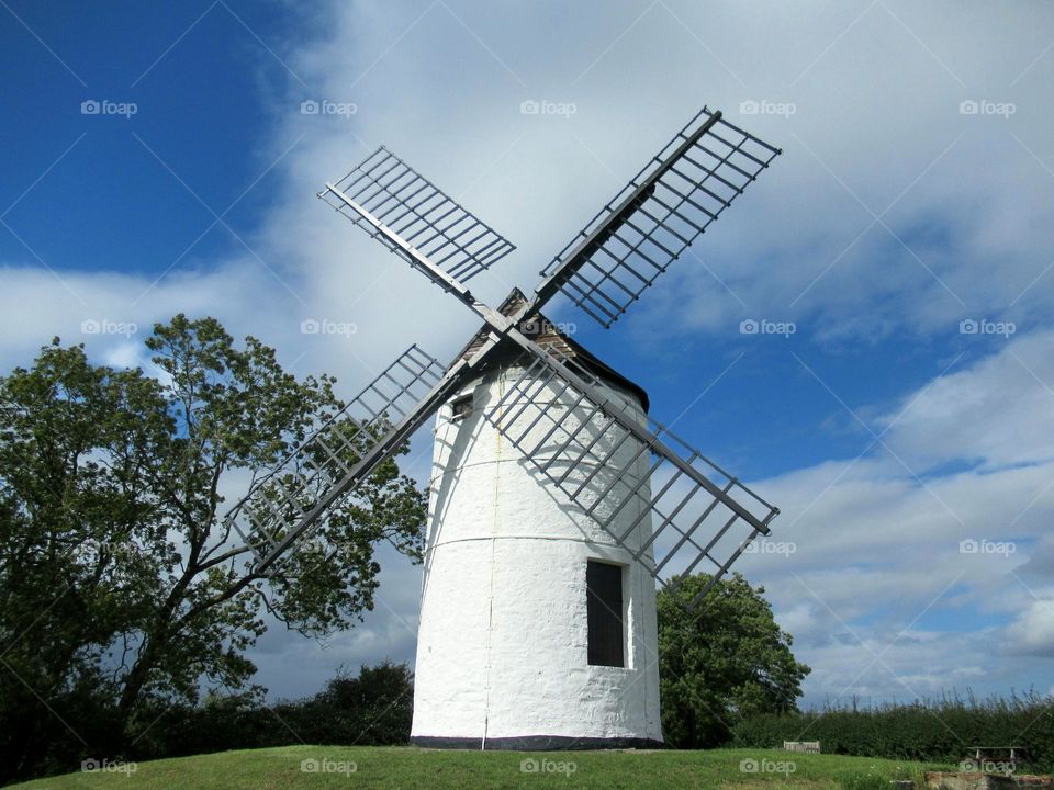 white windmill