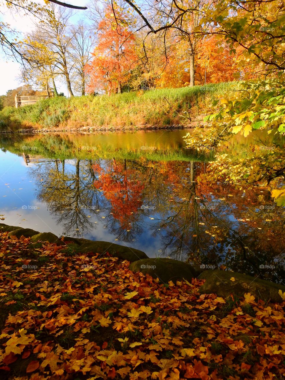 Autumn reflection