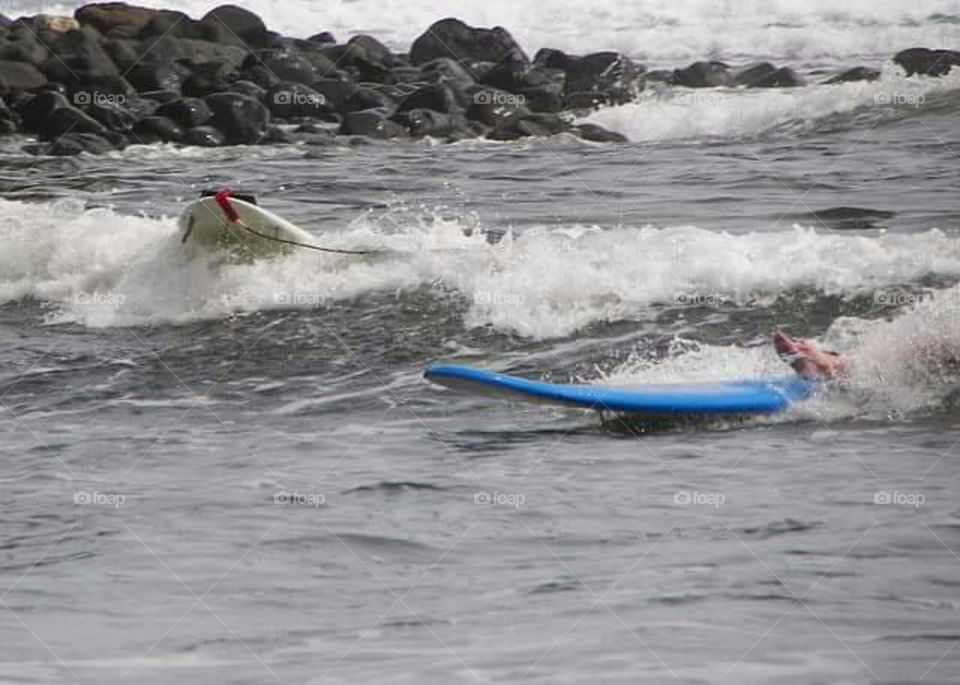 surf crash