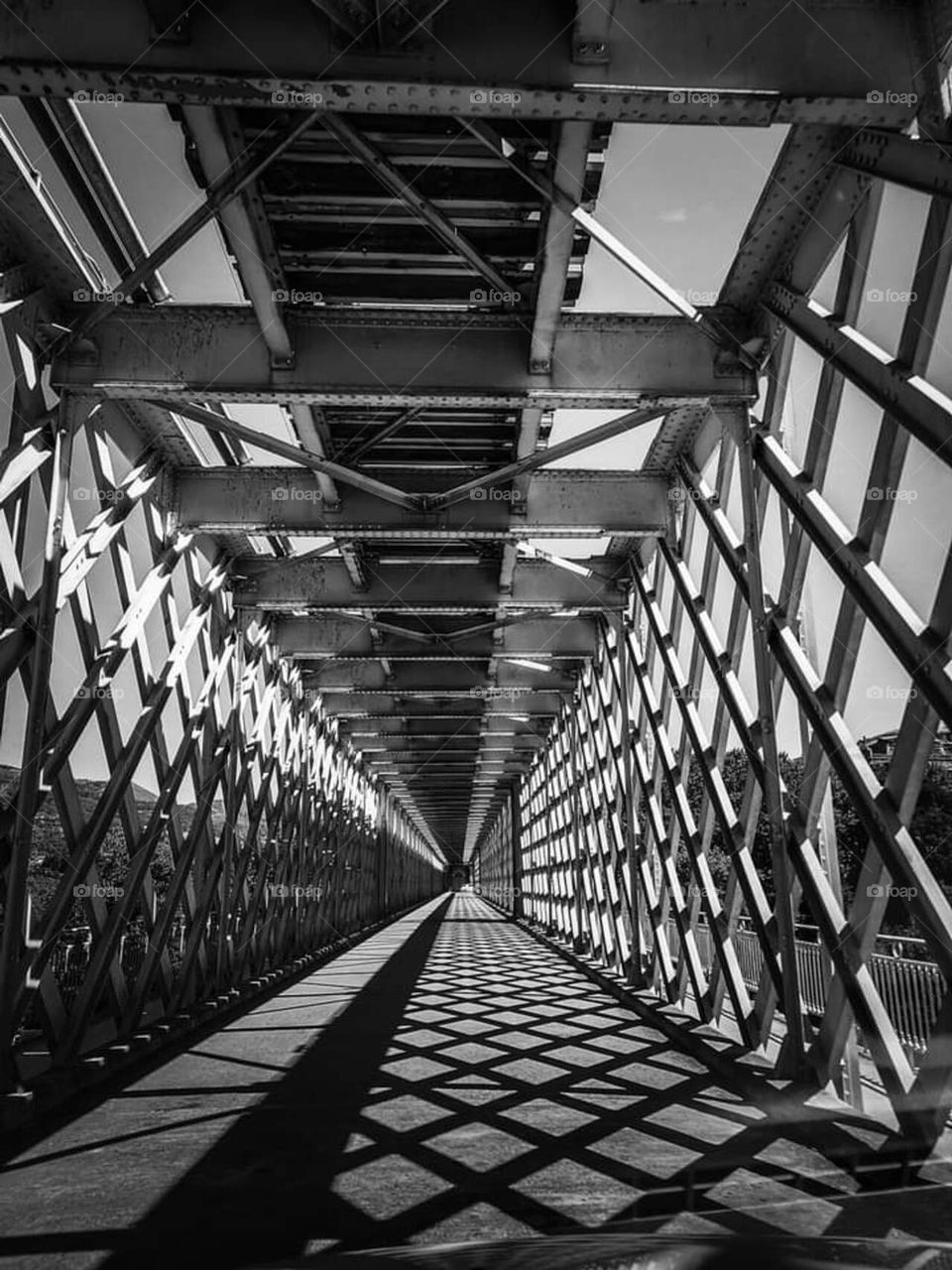 Bridge Perspective