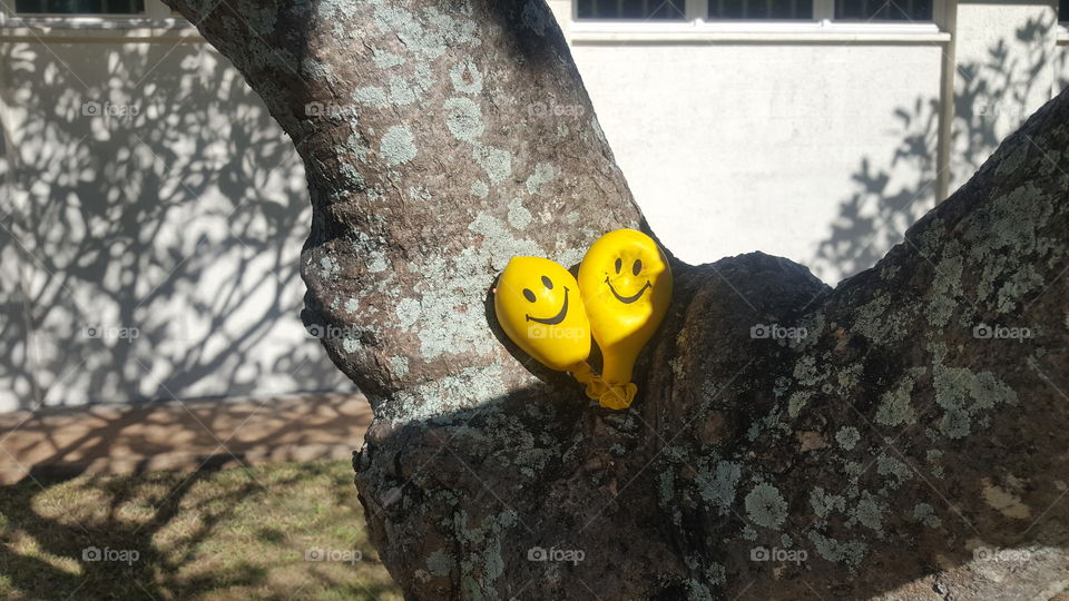 smiling yellow balloons on tree