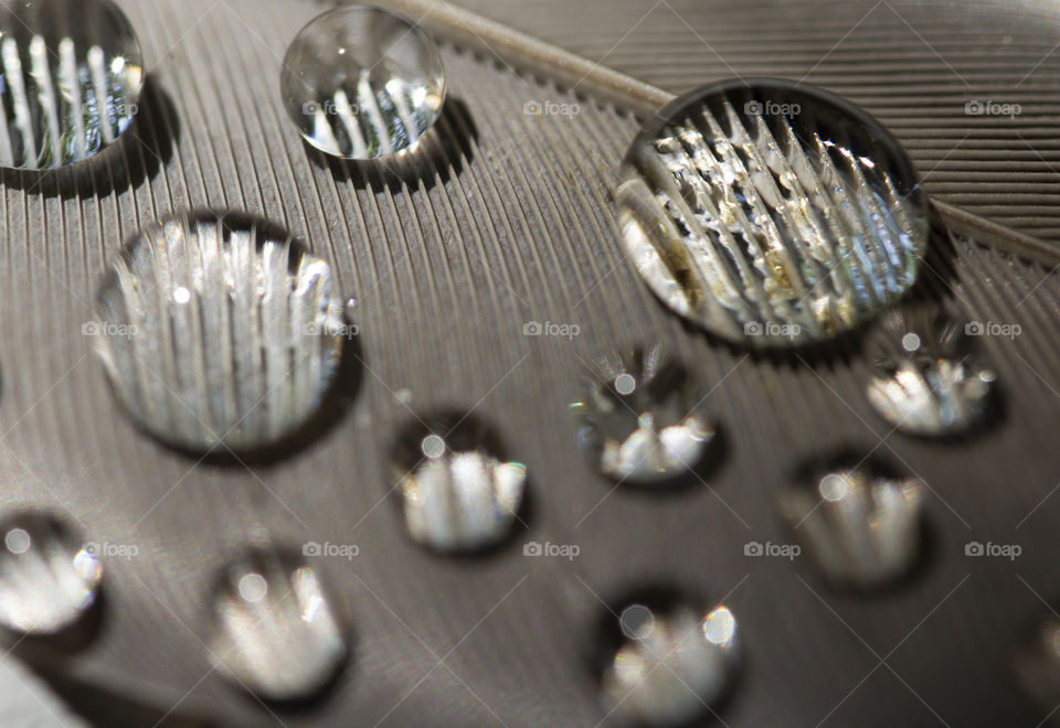 water drops on the feather.  soft focus,  macro shot.  beautiful abstract background