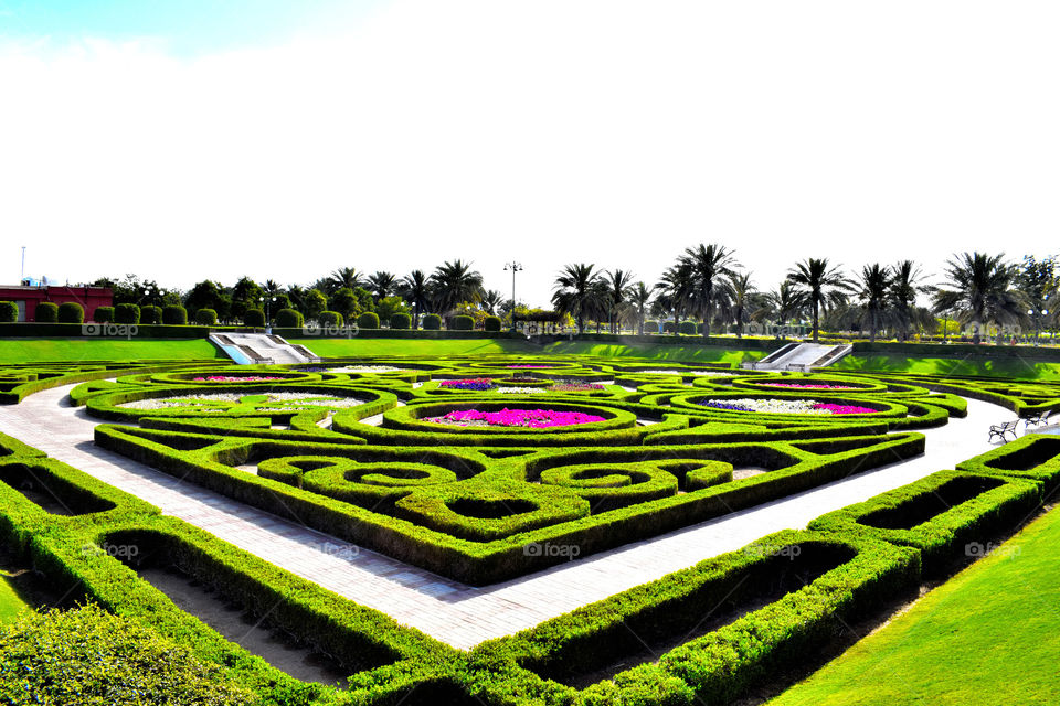 Wonder full path way