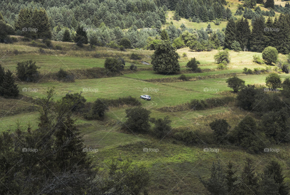 Tiny car in the nature, view from above