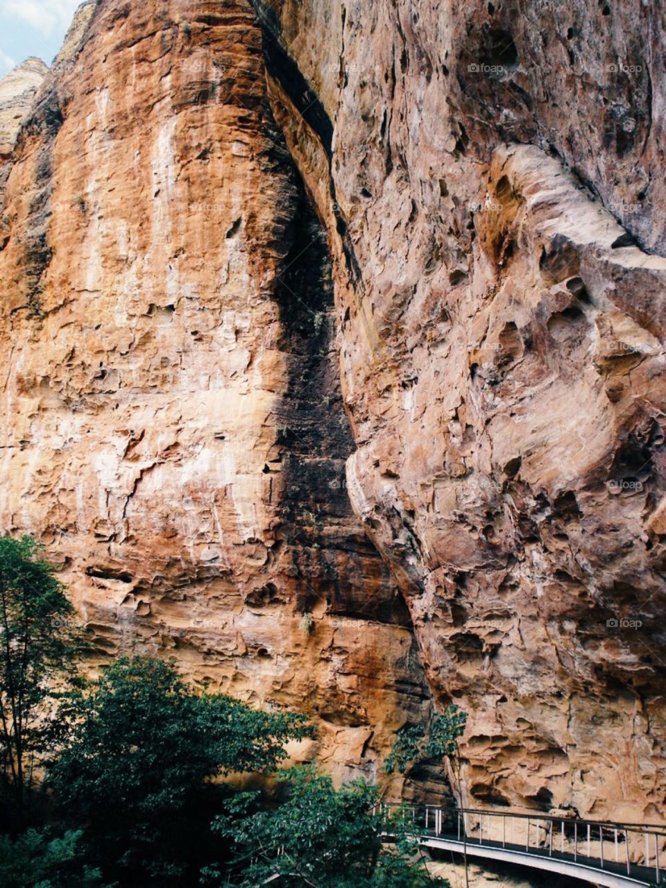 Serra da capivara