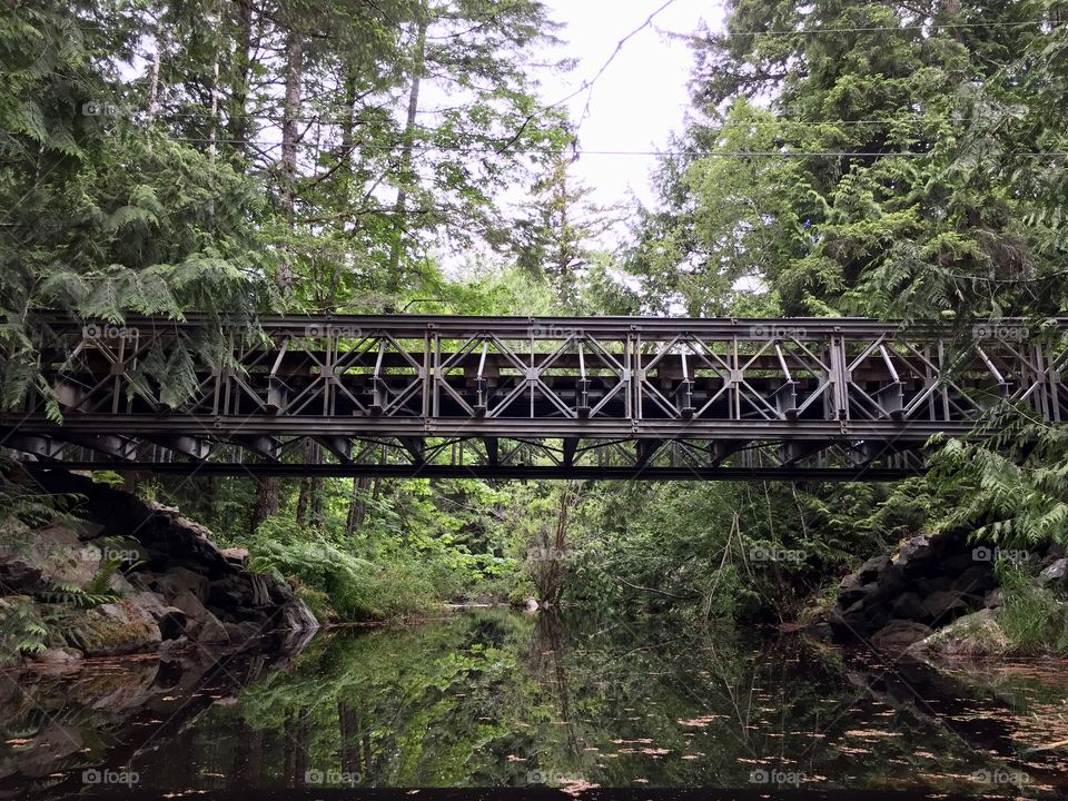 A bridge over still waters 