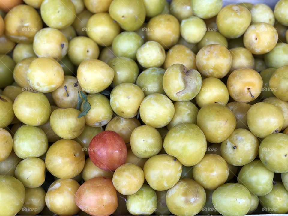 Many ripe yellow plums