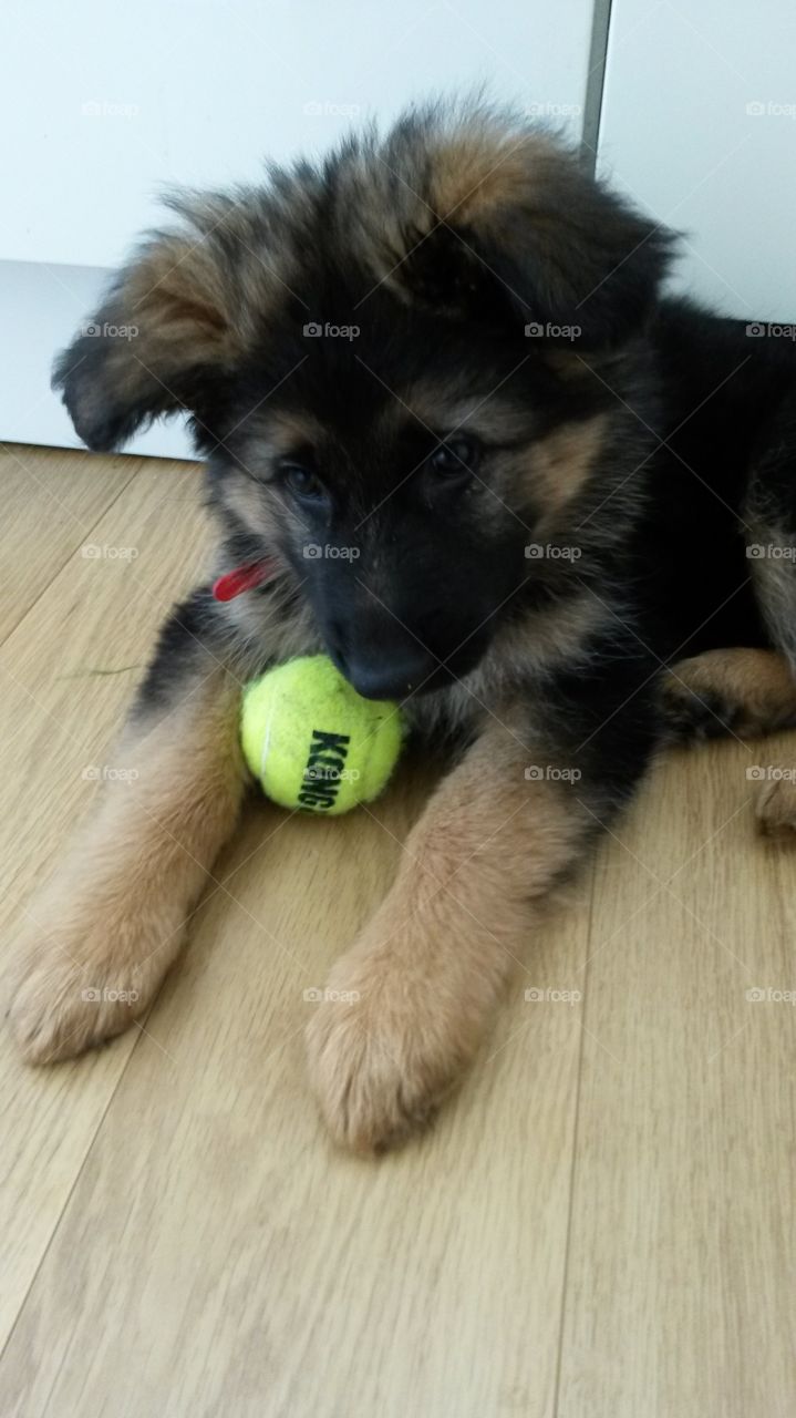 It's my ball
