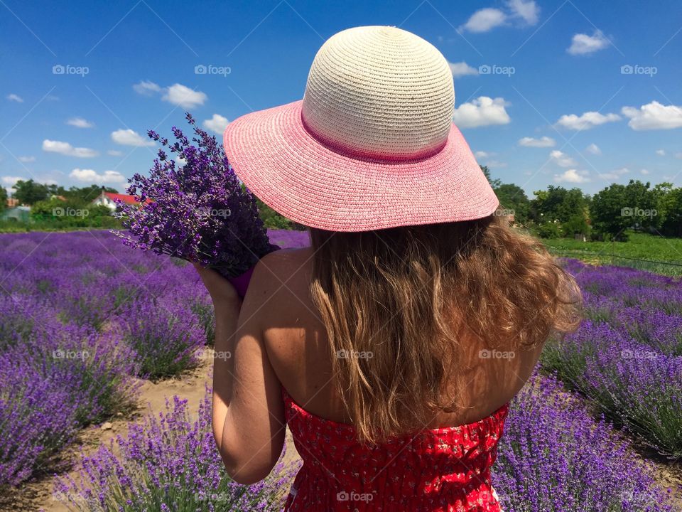 Back of pretty woman holding a bouquet of lavander with view of lavender field ahead