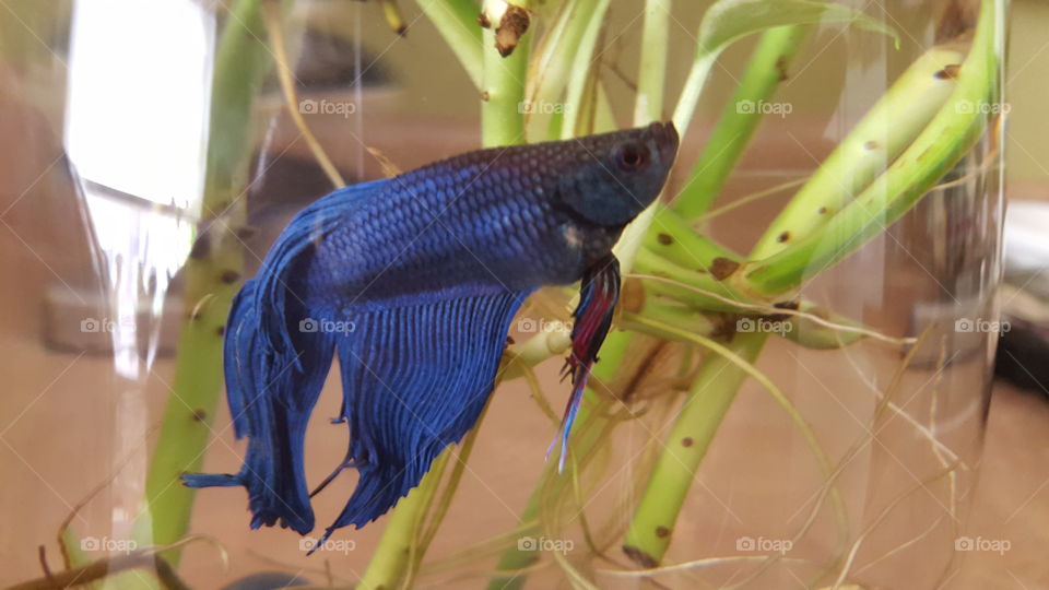 enjoying your beauty