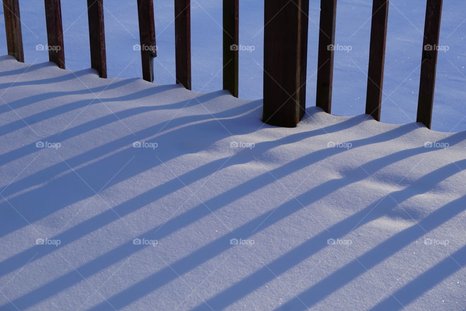 Snowy shadows. 