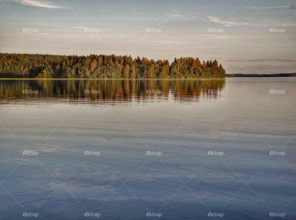 Reflection of trees in lake