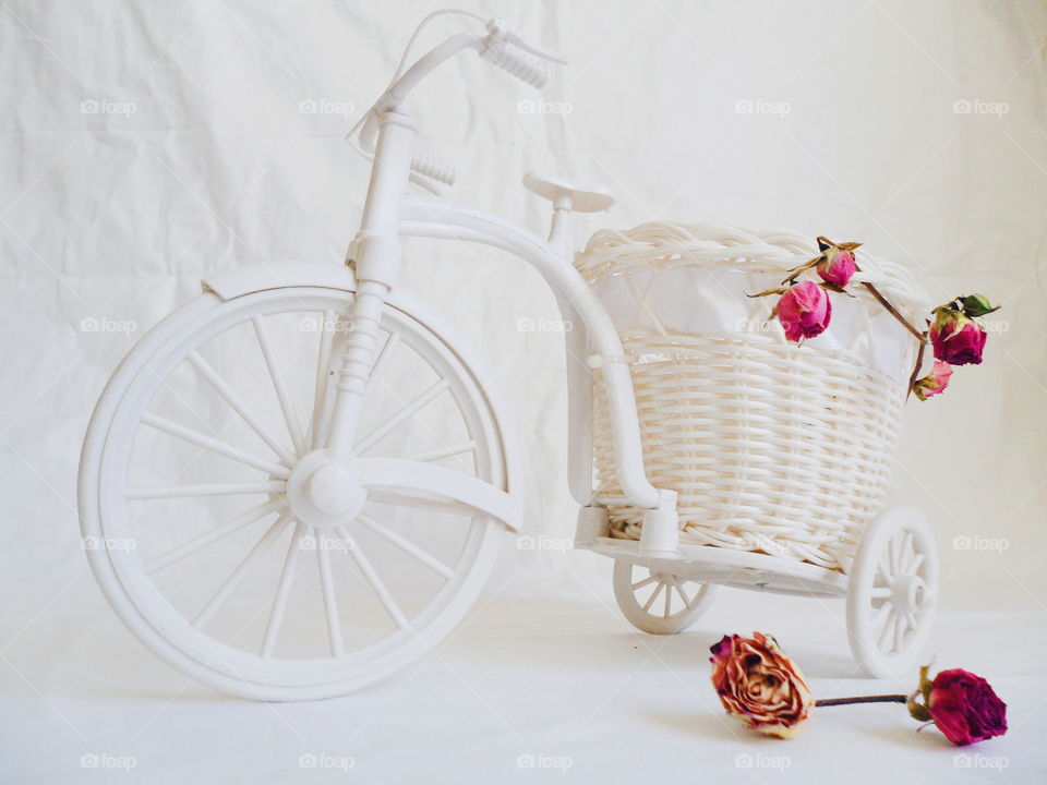 decorative toy bike and dried rose buds