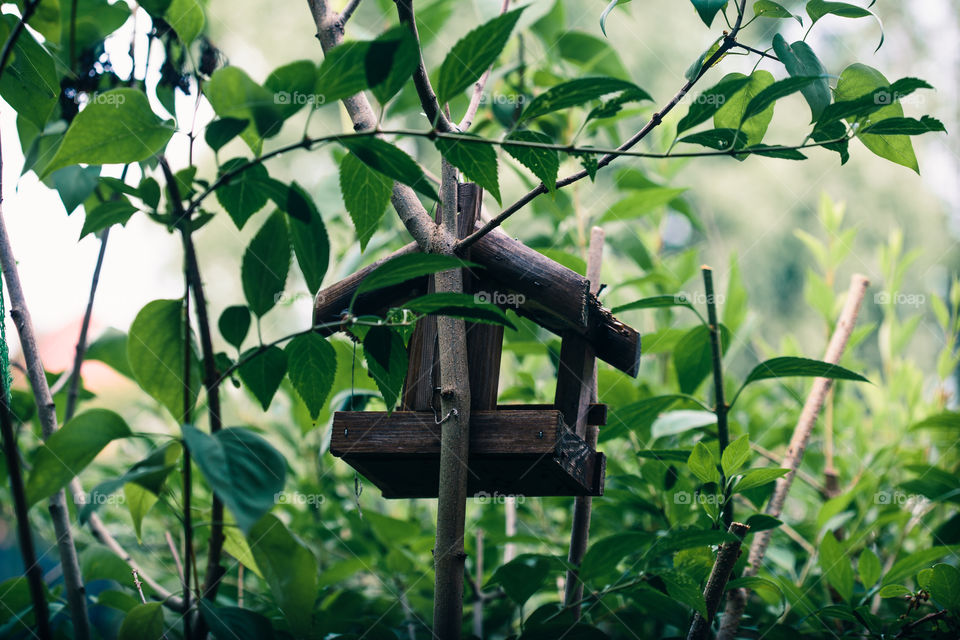 Bird house on a tree among the green leaves in springtime. Shelter and feeder for birds. Wildlife close to human. Copy space room for text