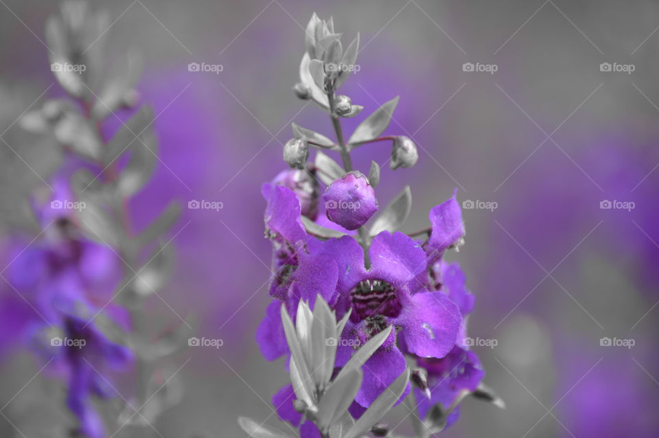 There is no plan b because there is no planet b. -Mohamed Nasheed 💜