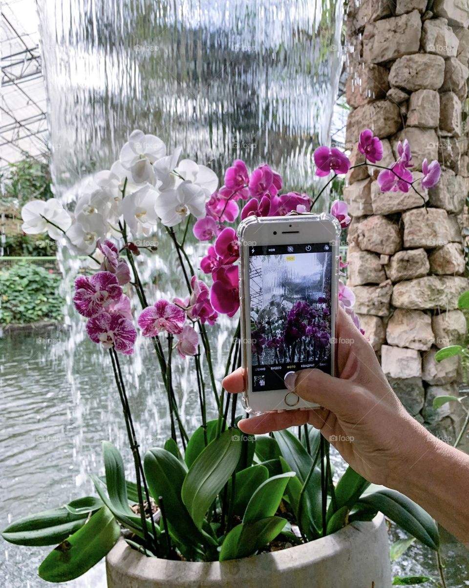 Taking photos of plants 