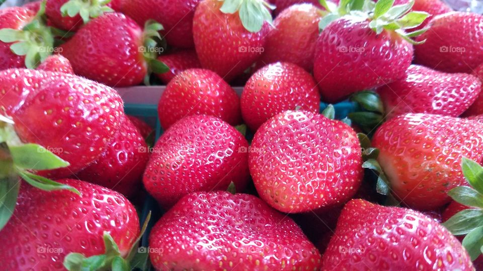 Fresh strawberries