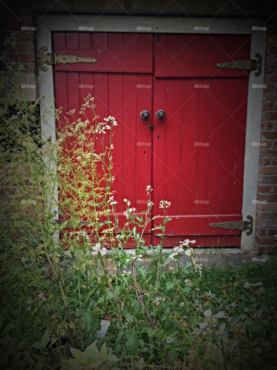 Elora ontario. Quaint Elora, Ont.  Red Door