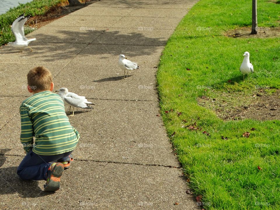 Boy Feeding Birds