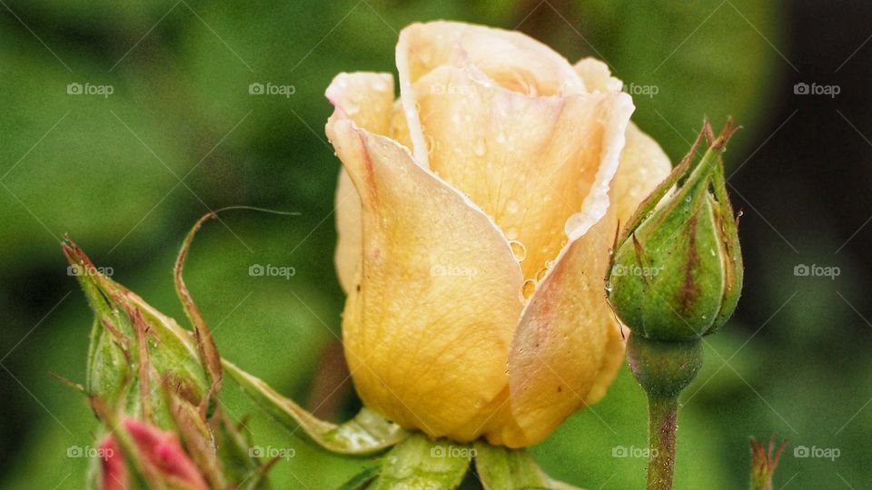 Experimentando
Experiencing