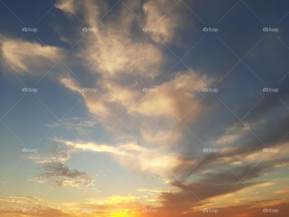 Please, I want you to support me, I need your help, I am poor, I need dollars, please