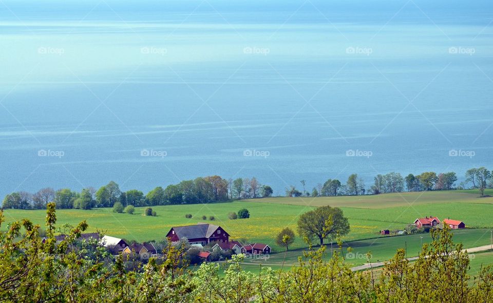 Scenics view of agricultural landscape