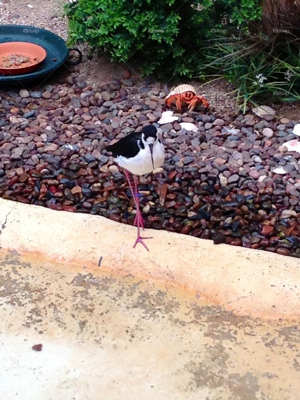 Just enjoying the day