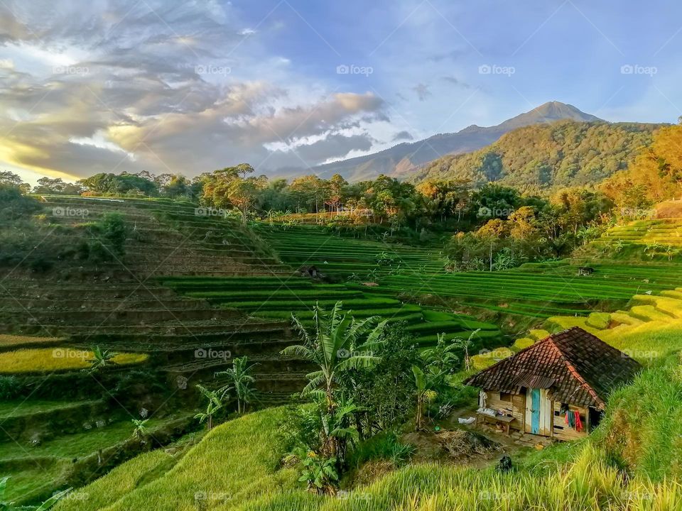 scenic view of selotapak terraces