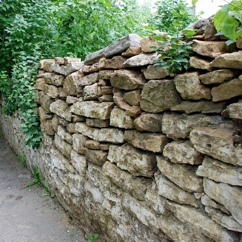 Местные красоты