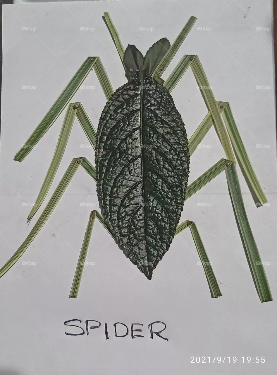 leaf art