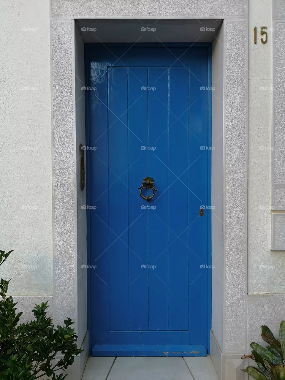 Door