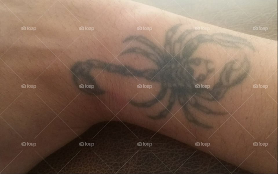 tattoo scorpion