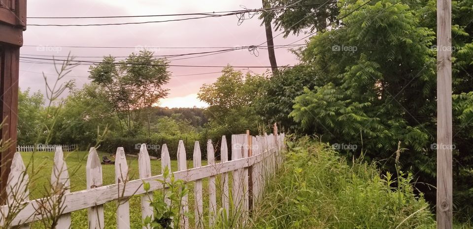 backyard sunset
