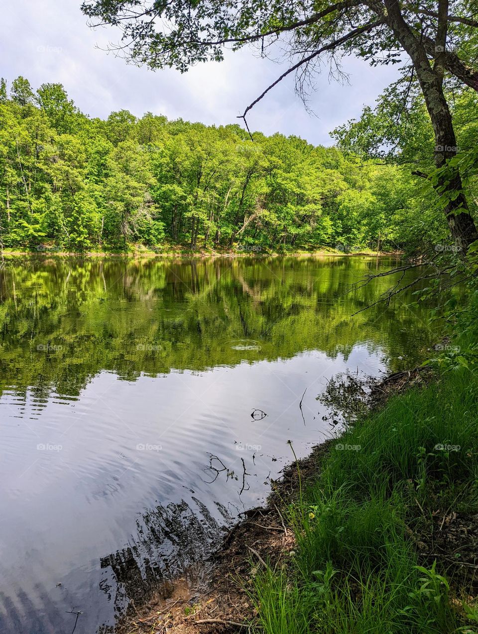 Peaceful Landscape