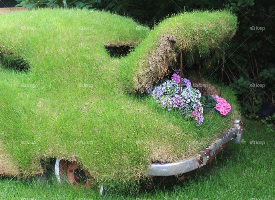 Flowers in grass car trunk.