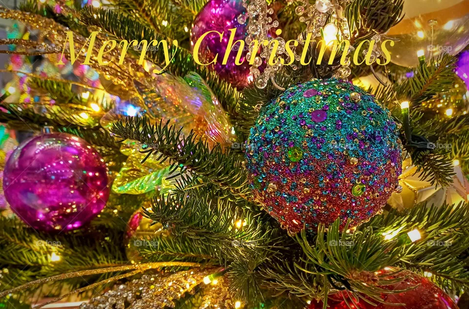 merry Christmas
