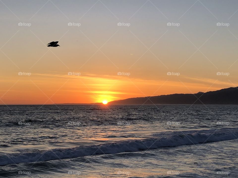 Santa Monica Sunset 