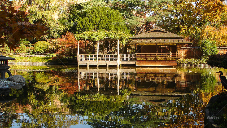 Mirroring lake in Brooklyn. In the Brooklyn Botanical Garden