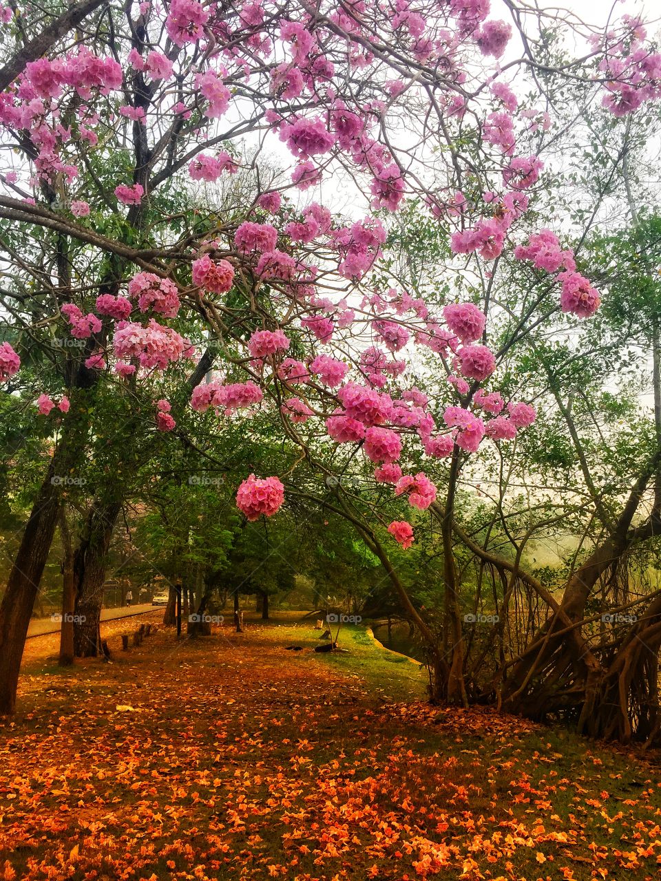 As you breathe right now, another person takes his last. So stop complaining and learn to live with what you have.