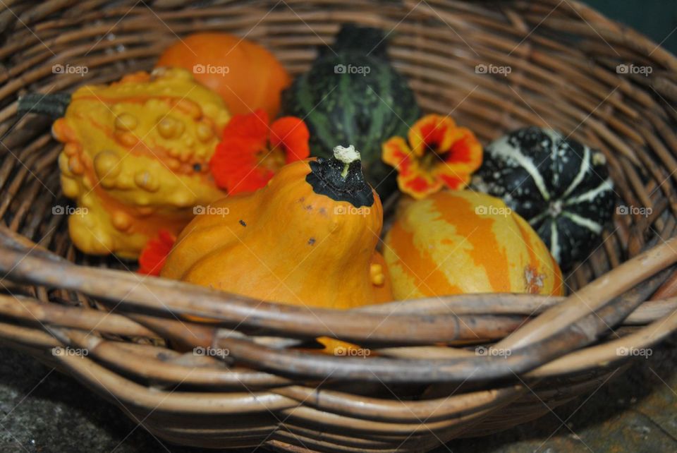 Vegetables in basket