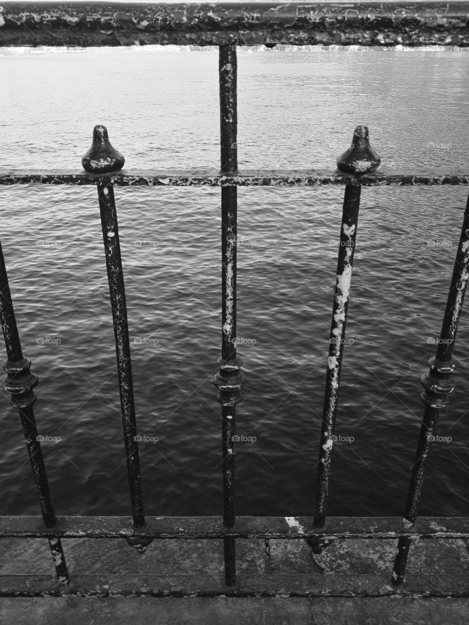 watch the water through the bars sitting