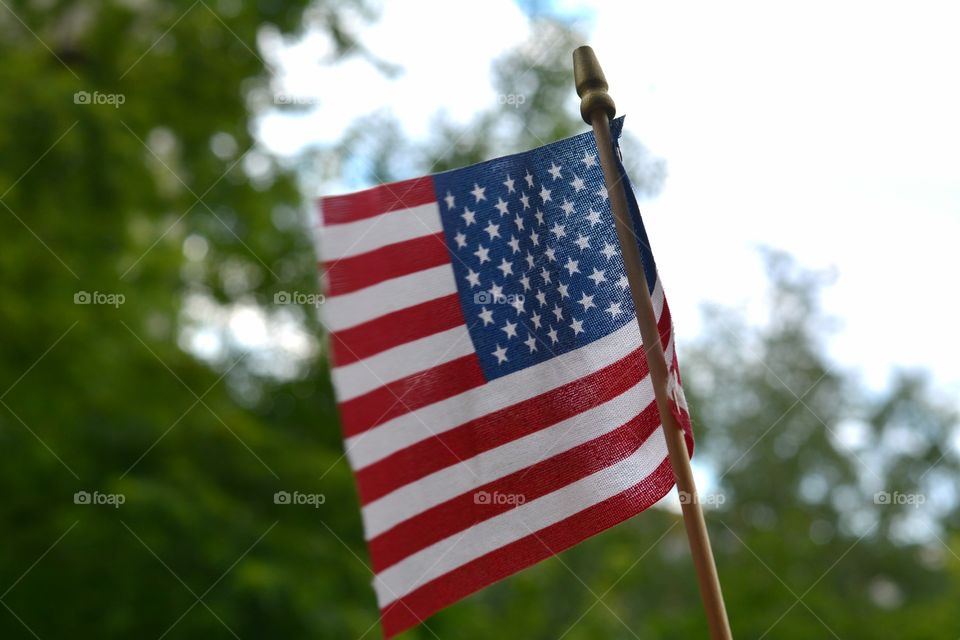 Flag, Patriotism, Administration, Country, Pride