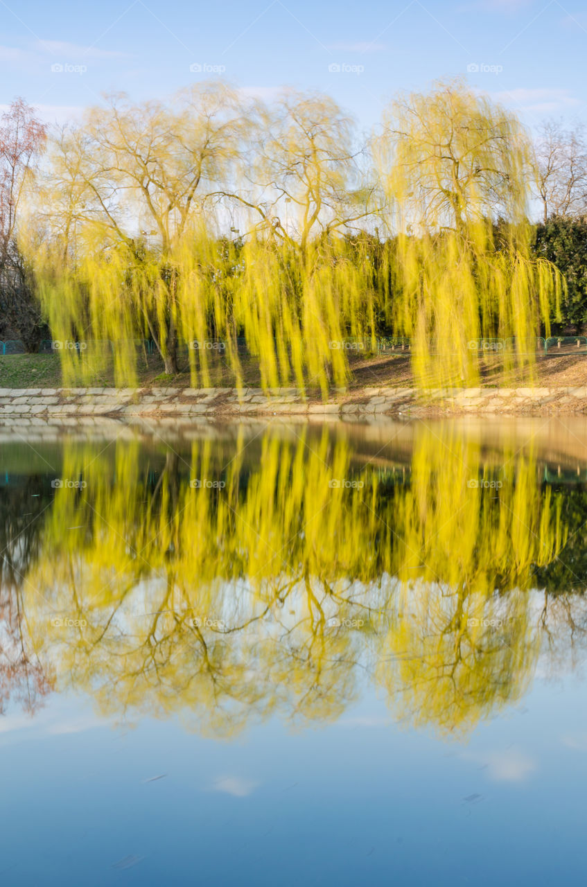 Idyllic lake in spring season