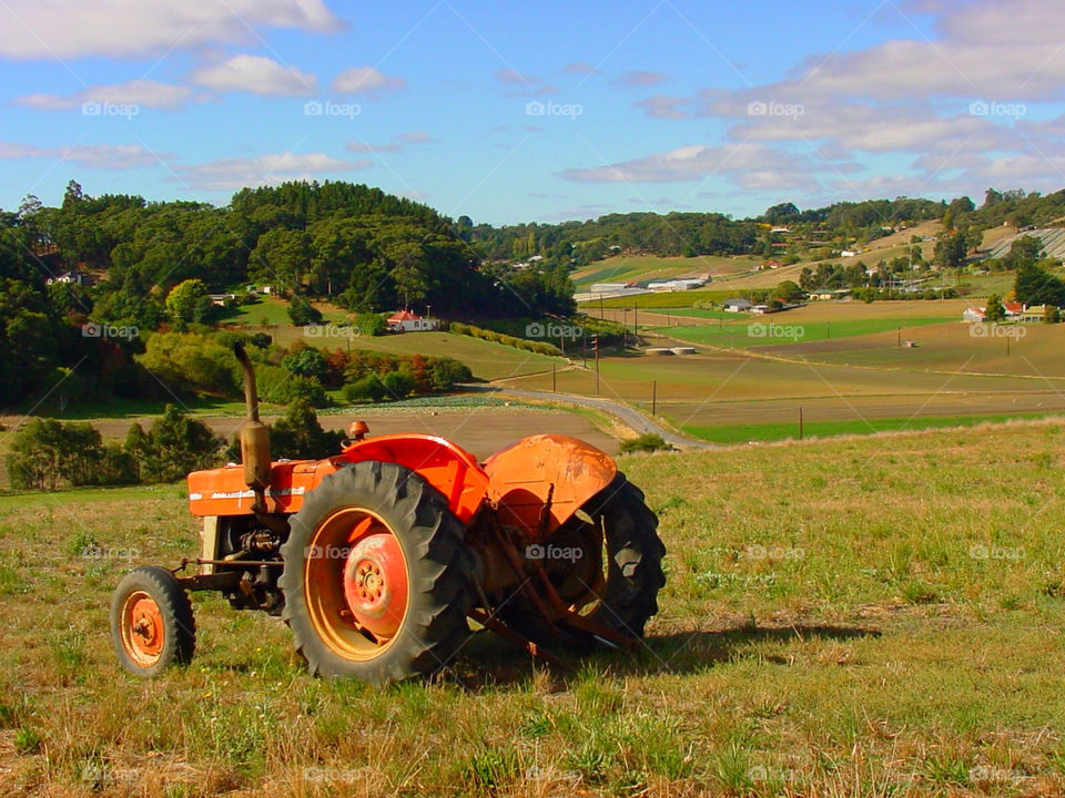 grass road autumn farm by kshapley