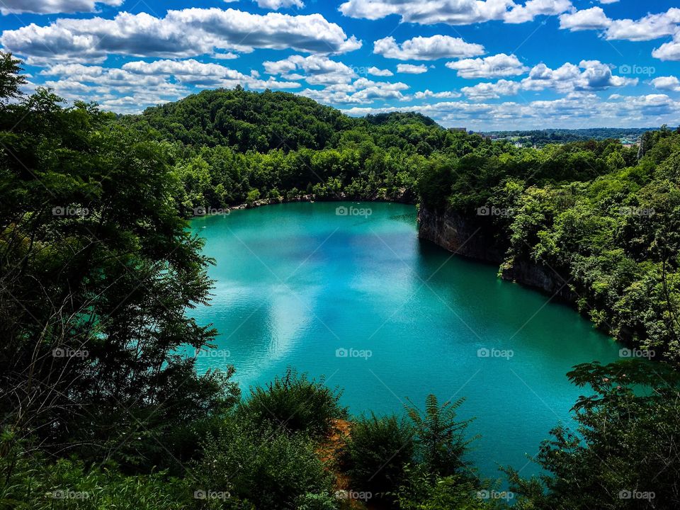 Hidden oasis in Knoxville, TN