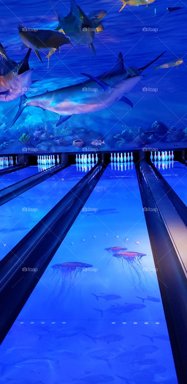 Under The Sea Bowling