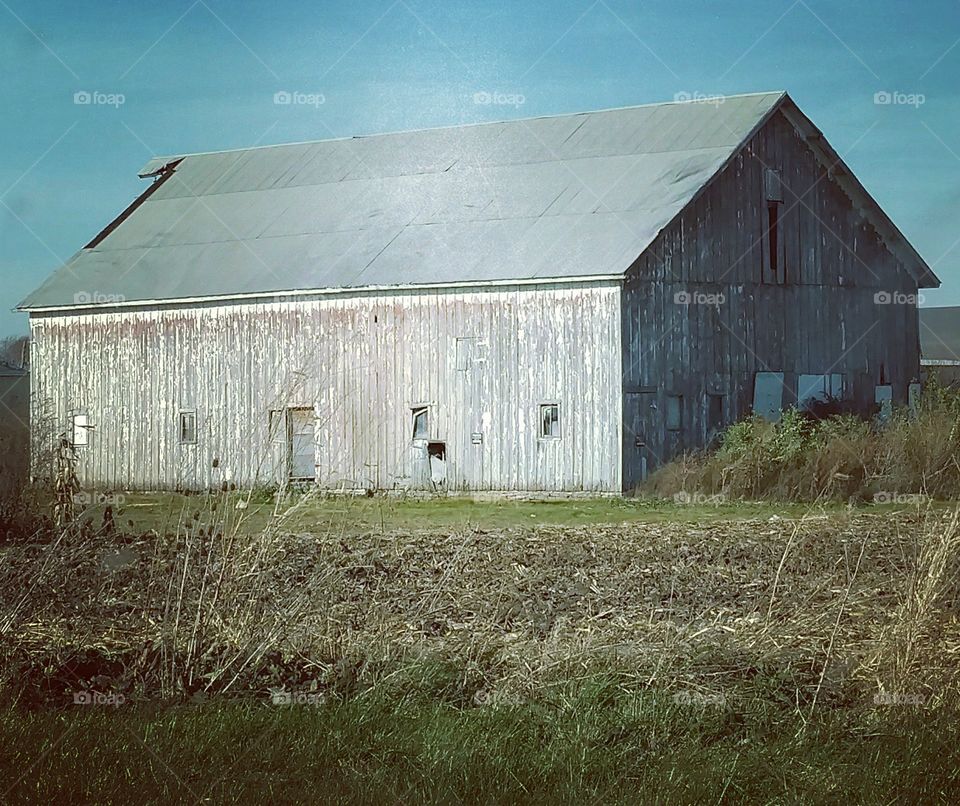 weathered barn