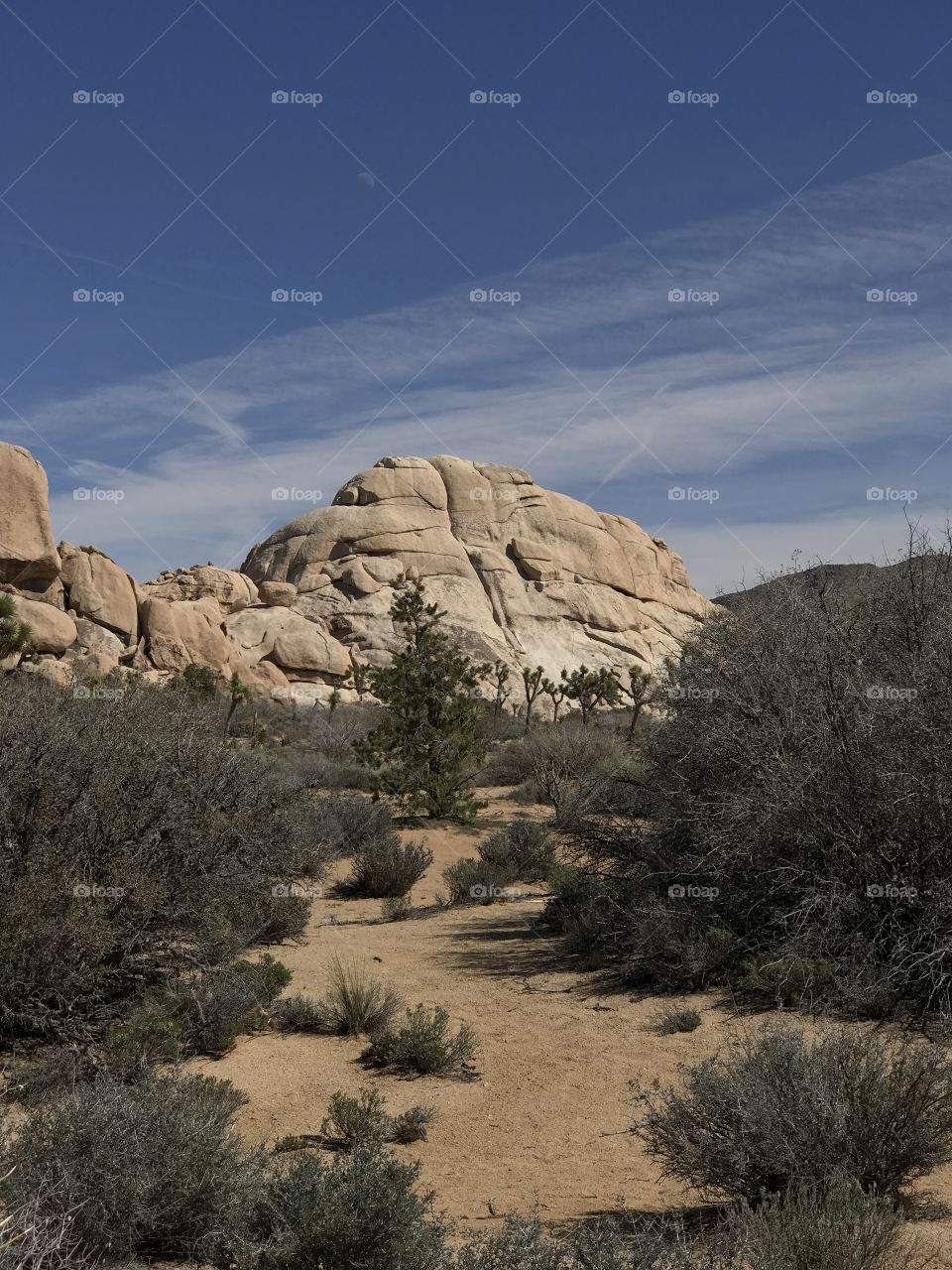 Joshua Tree National Park 